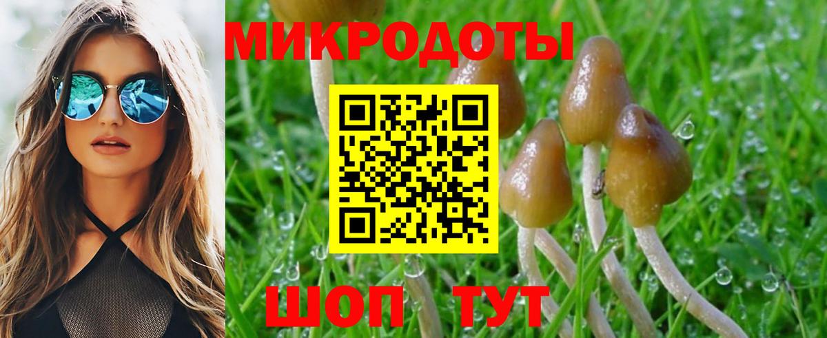 Псилоцибиновые грибы Magic Shrooms Томск